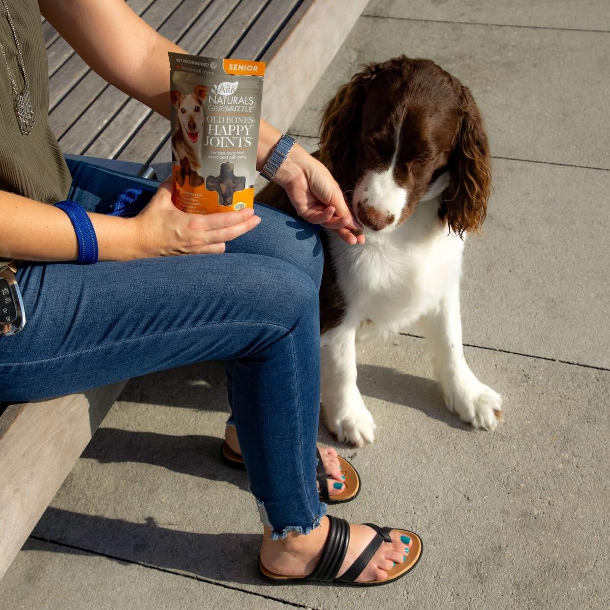 Senior dog joint supplement advice