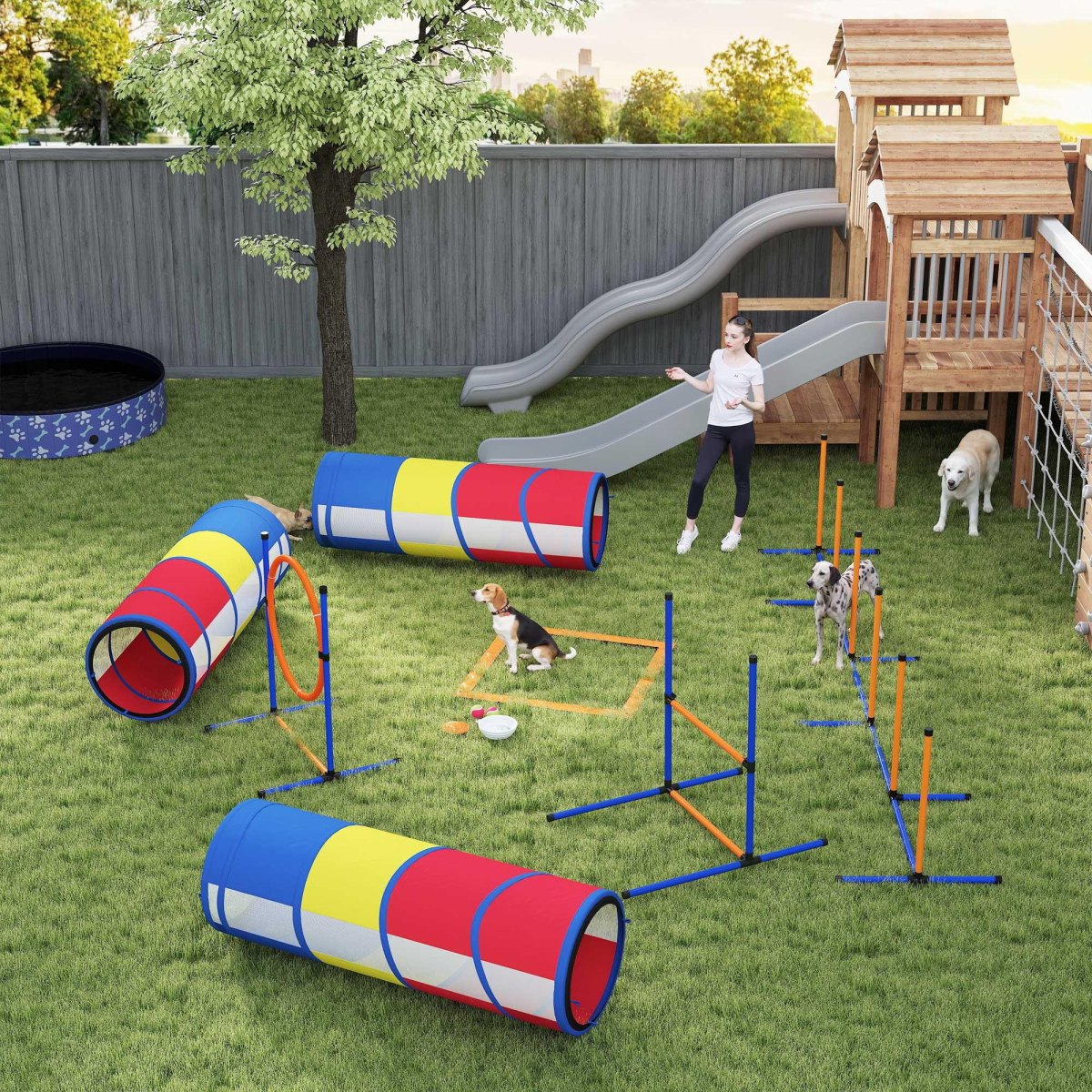 Dog Activity Stations Ideas for Fun Daily Enrichment