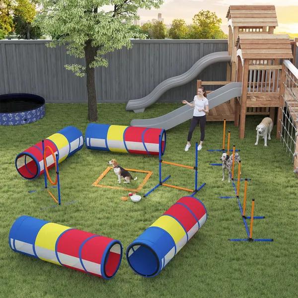Dog Exercise Area Ideas for Active Happy Dogs