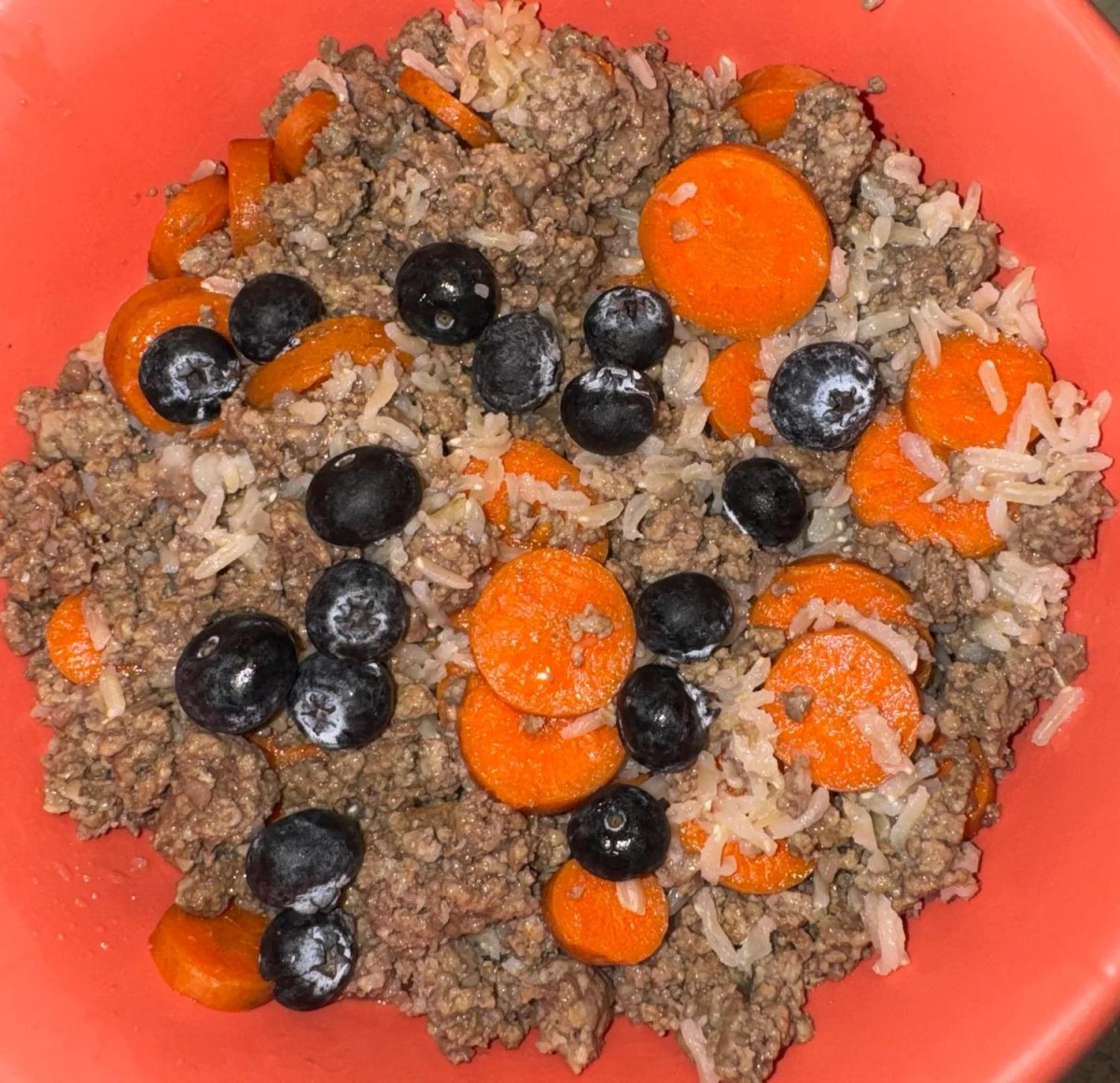 Beef rice and blueberries dog food