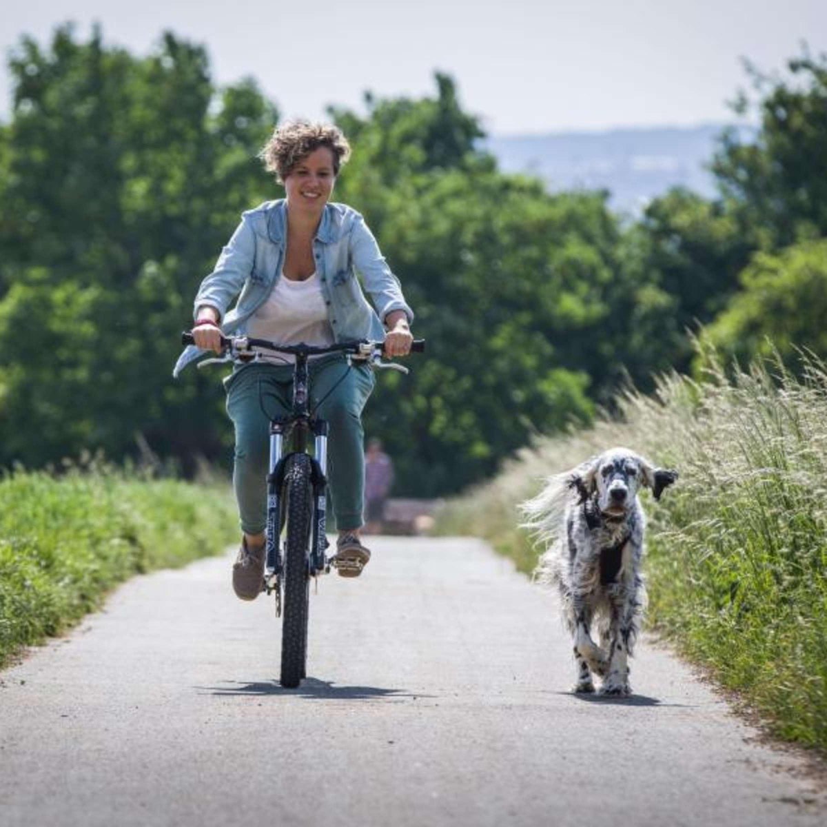 Dog running beside bicycle outdoors