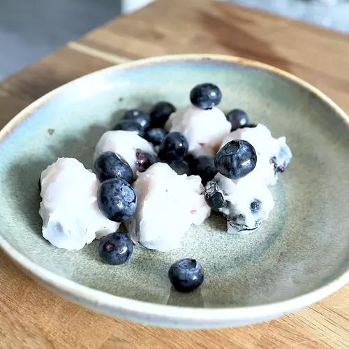 Blueberry coconut frozen dog bites