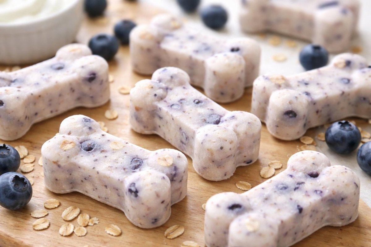 Blueberry yoghurt frozen dog treats