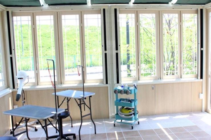 Bright grooming room with natural light
