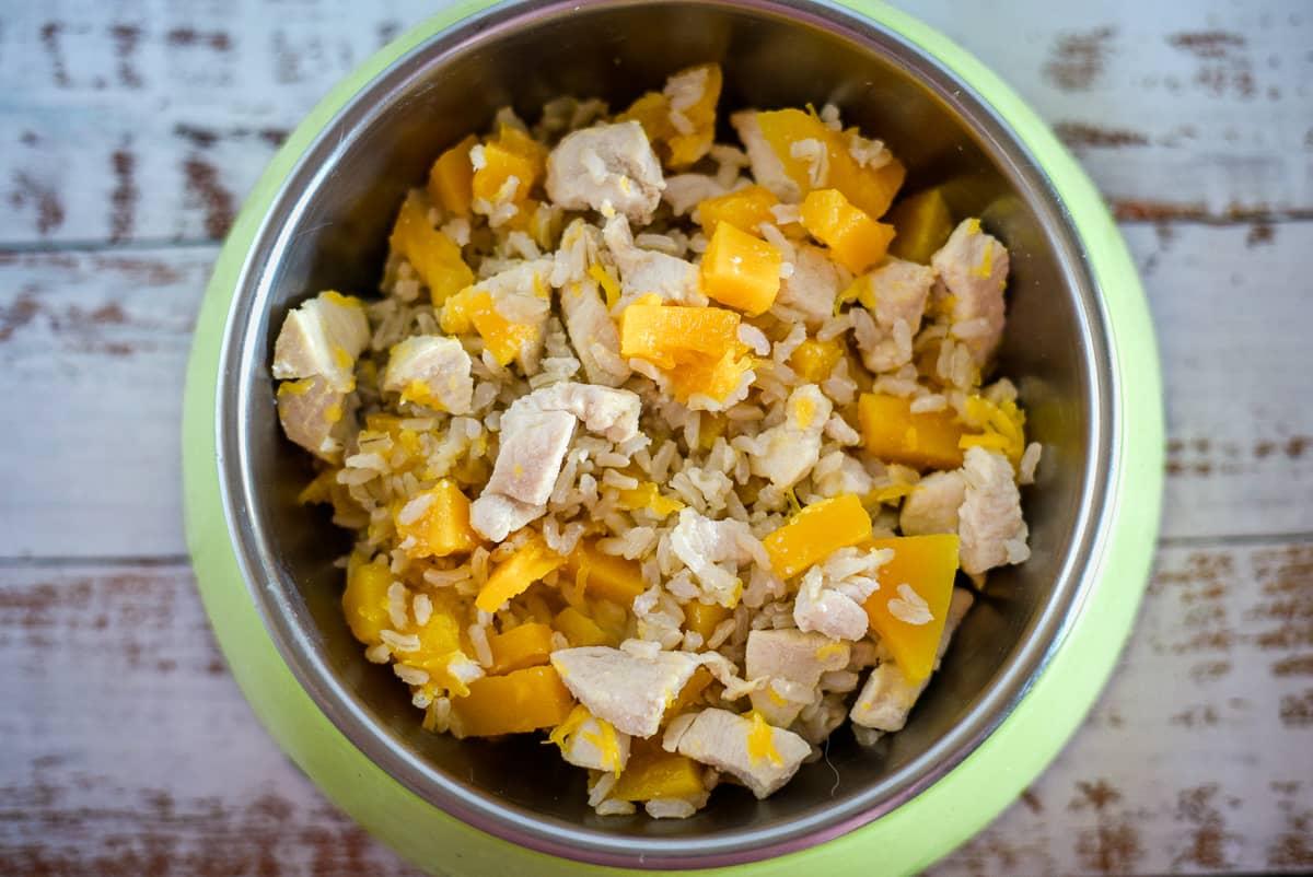 Chicken pumpkin dog food recipe