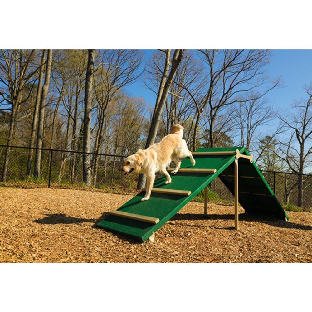 Dog standing on climbing platform