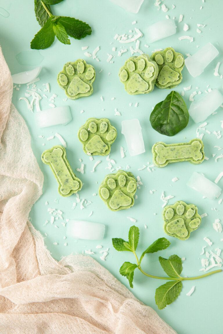 Coconut water frozen dog treats