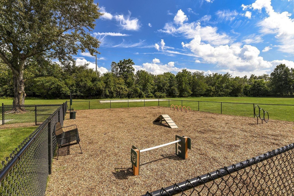 Community dog exercise park