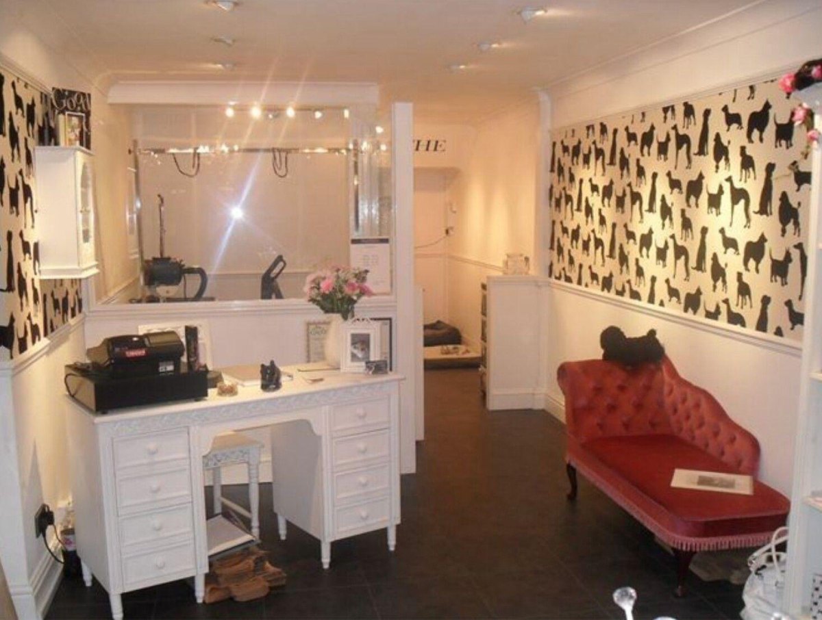 Garage Dog Grooming Salon Ideas for Small Spaces
