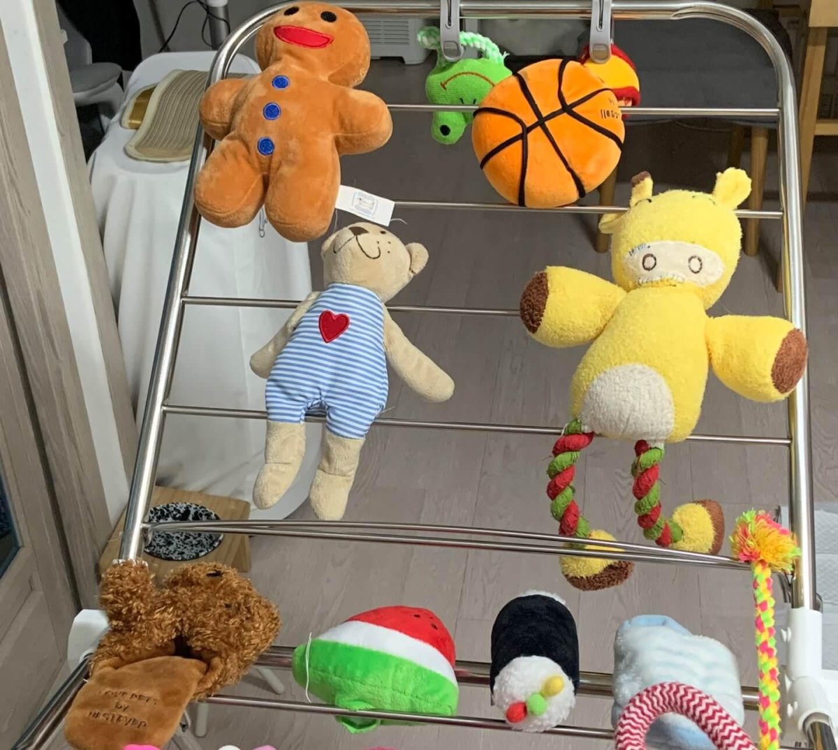 Dog toys drying after cleaning