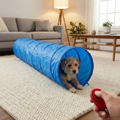 Dog crawling through indoor tunnel