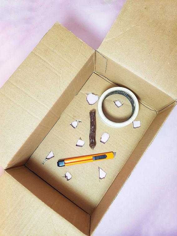Cut cardboard compartments for dog puzzle
