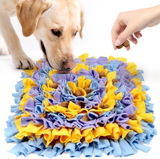 Dog using a colourful snuffle mat