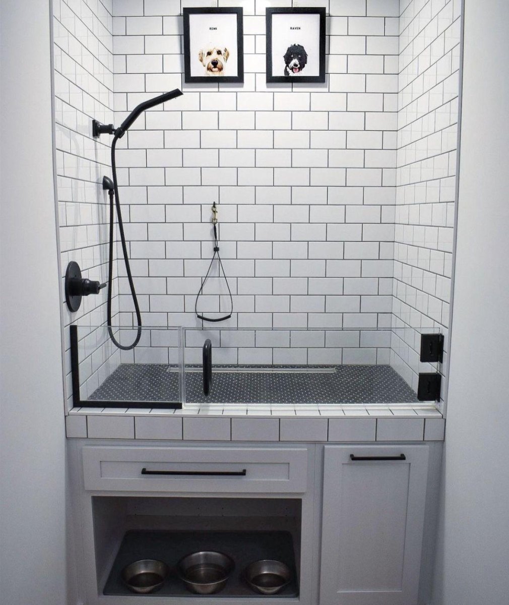 Walk in dog shower station