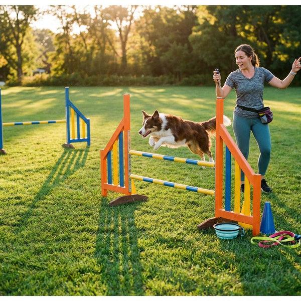 Dog using outdoor agility equipment