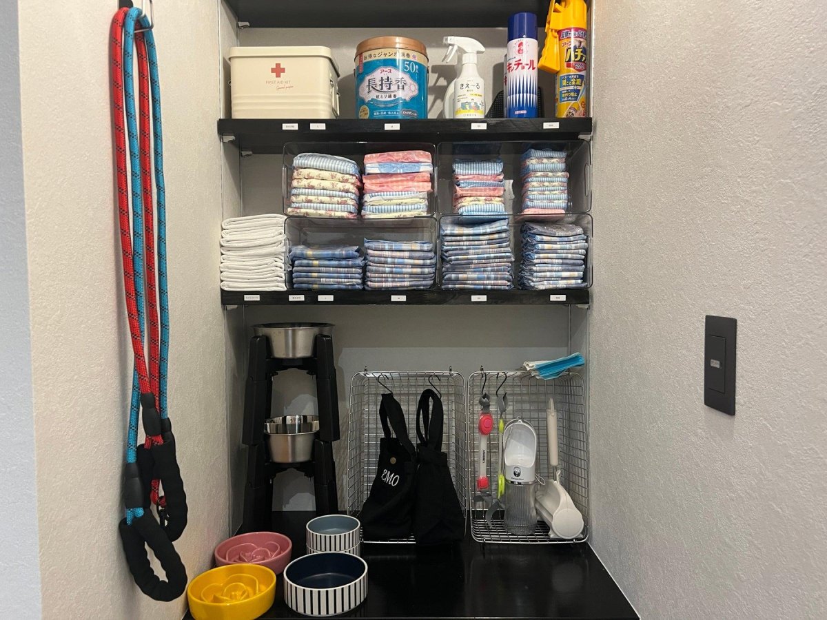 Organised dog grooming tools and supplies