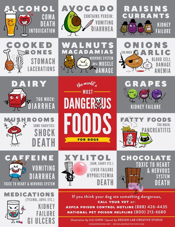 Unsafe foods for dogs