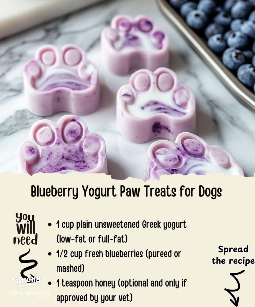 Simple frozen dog treats for sensitive dogs