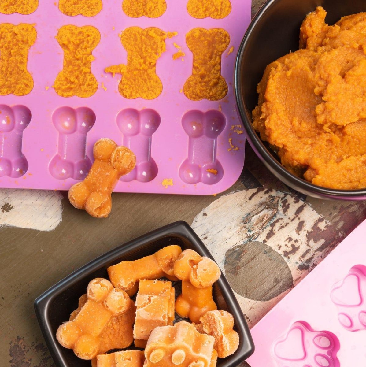 Frozen pumpkin dog treats