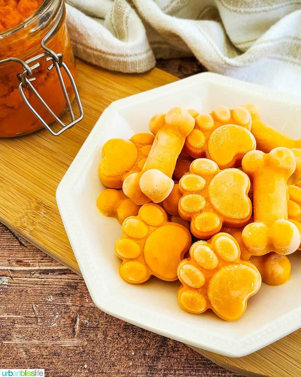 Pumpkin frozen dog treats