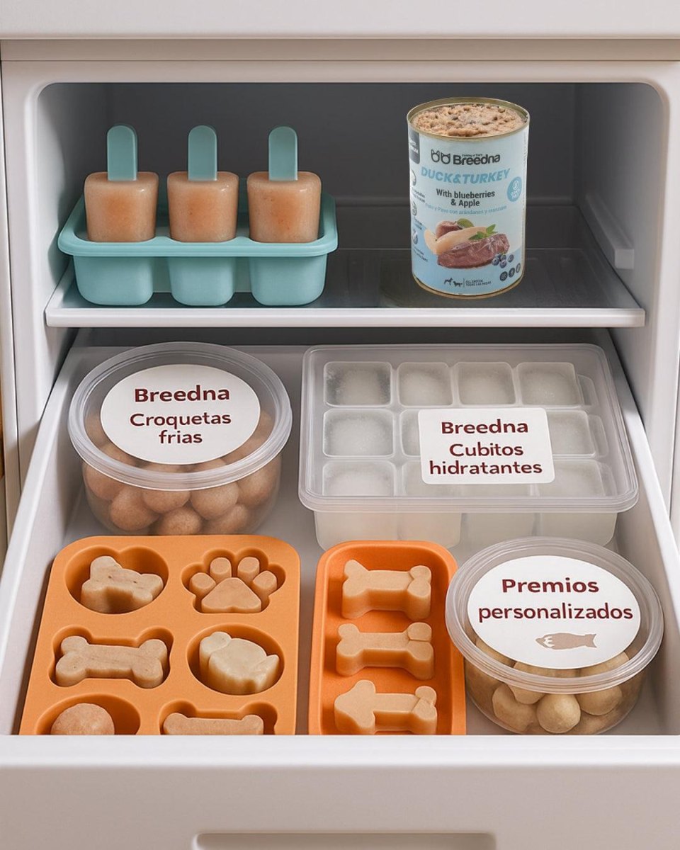 Frozen dog treat preparation shelf