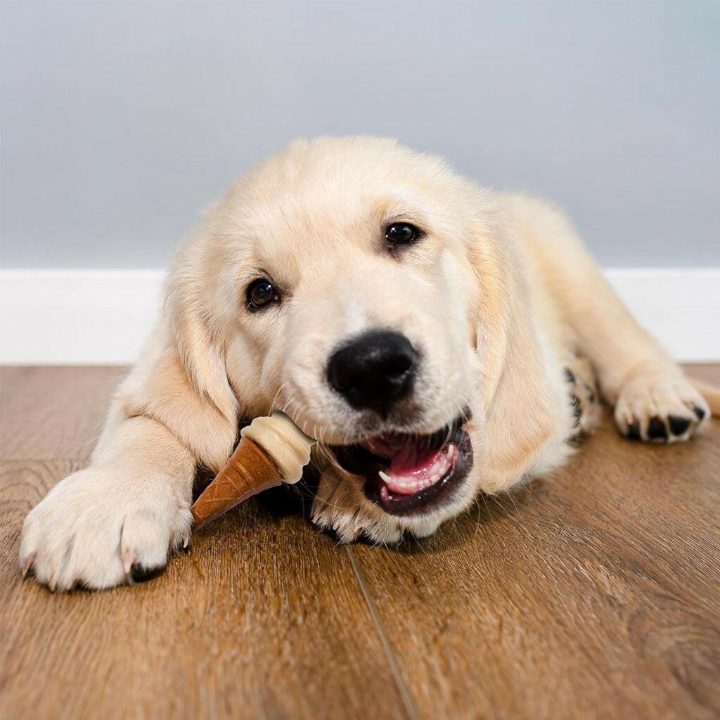 Puppy eating frozen dog treat