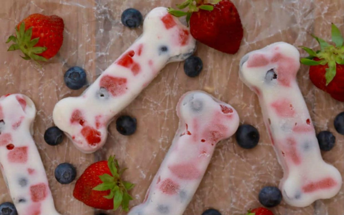 Fruit based frozen dog treats