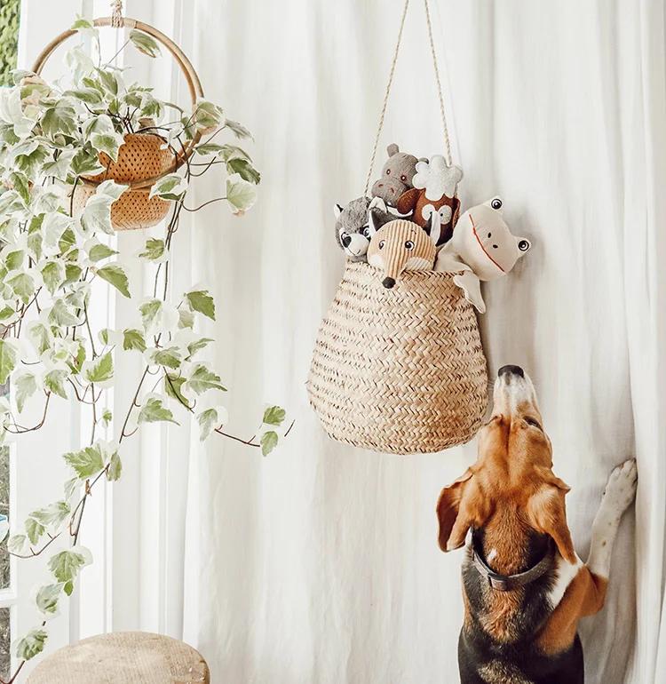 Wall baskets holding dog toys