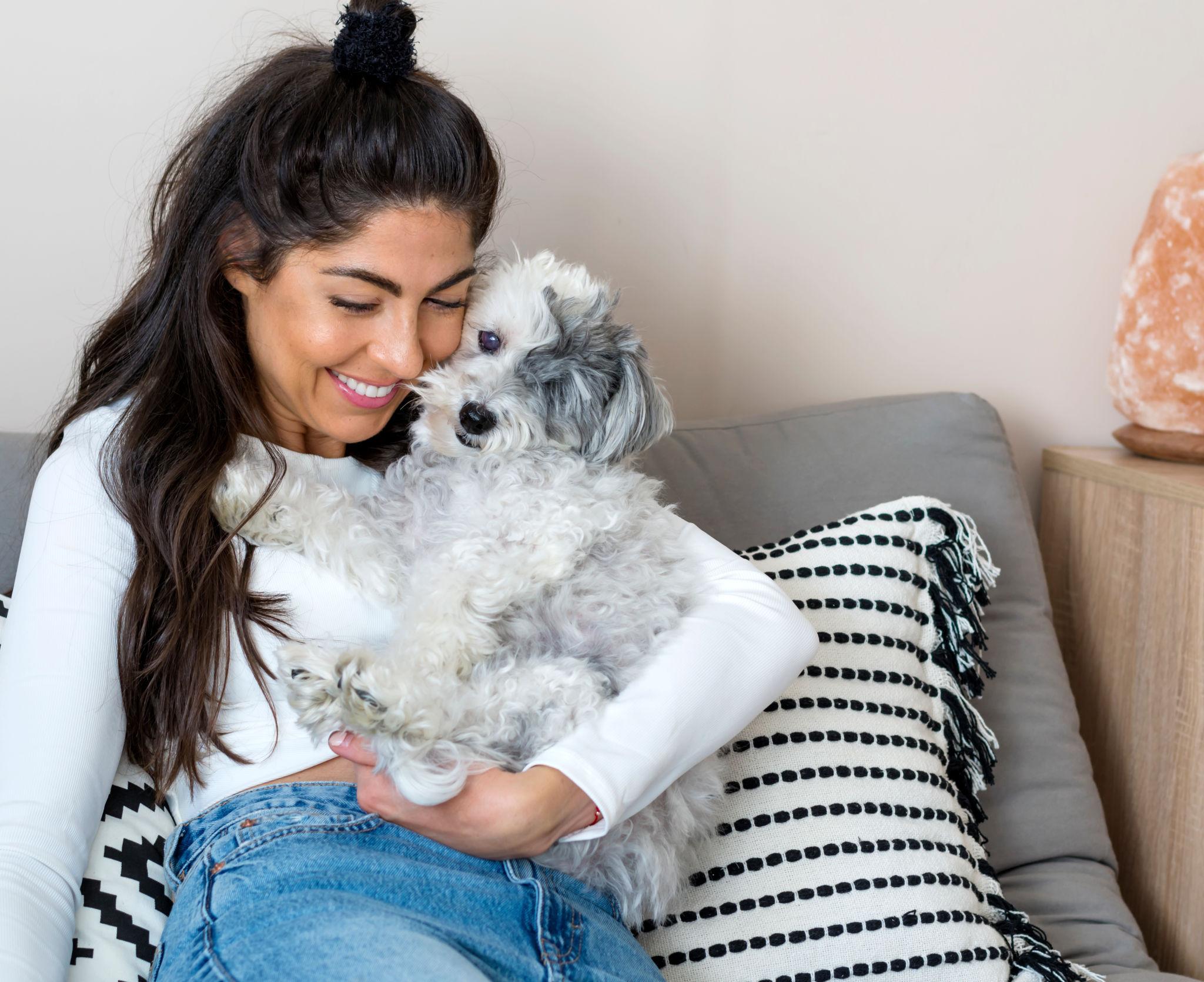 Havanese dog relaxing with family in an apartment setting