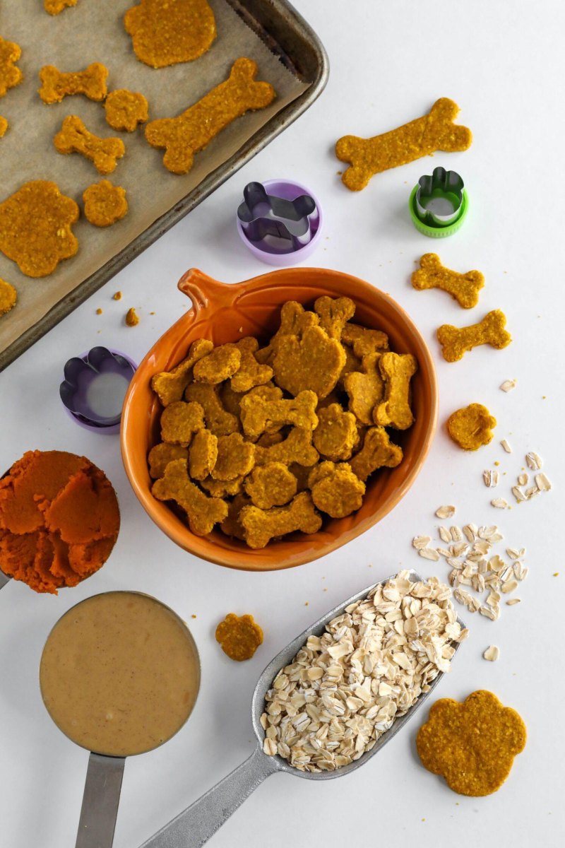 Healthy pumpkin dog treat recipes