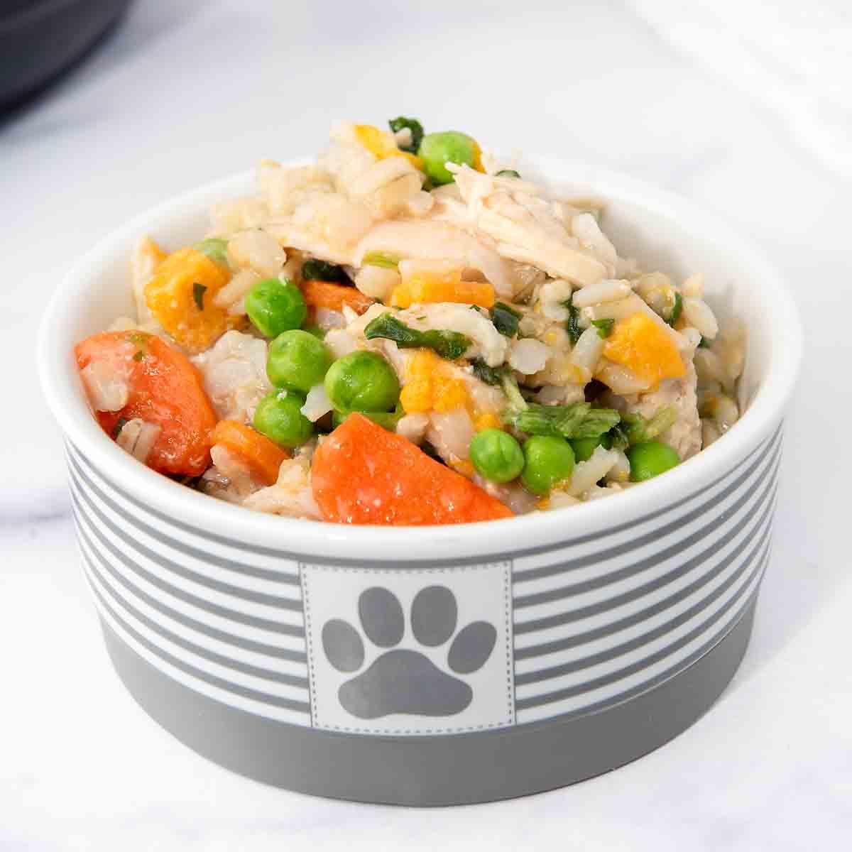 Homemade dog food preparation