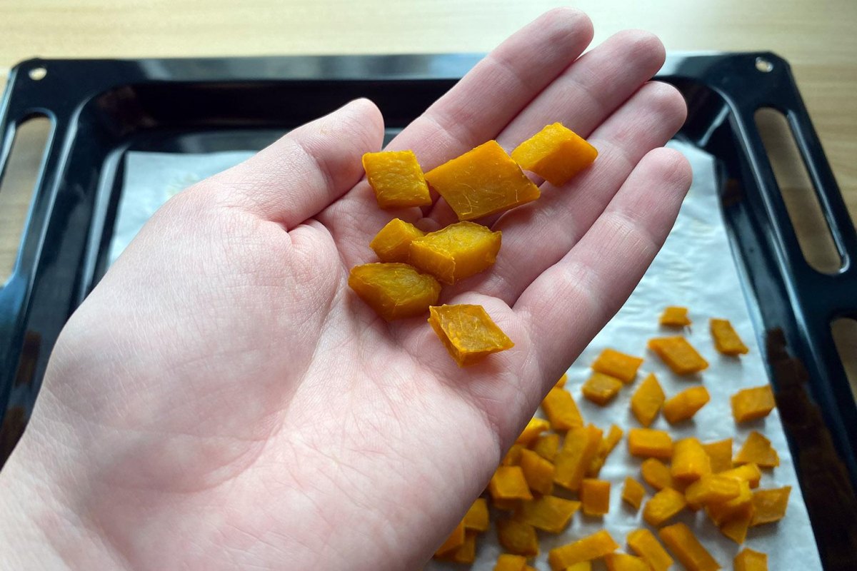 Small pumpkin dog training treats