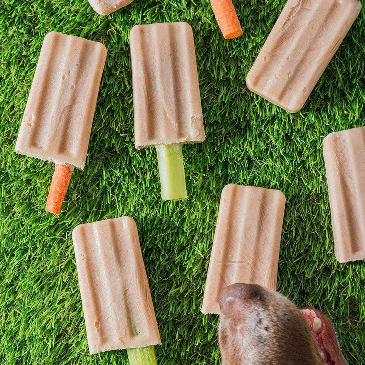 Dog birthday puppy popsicles