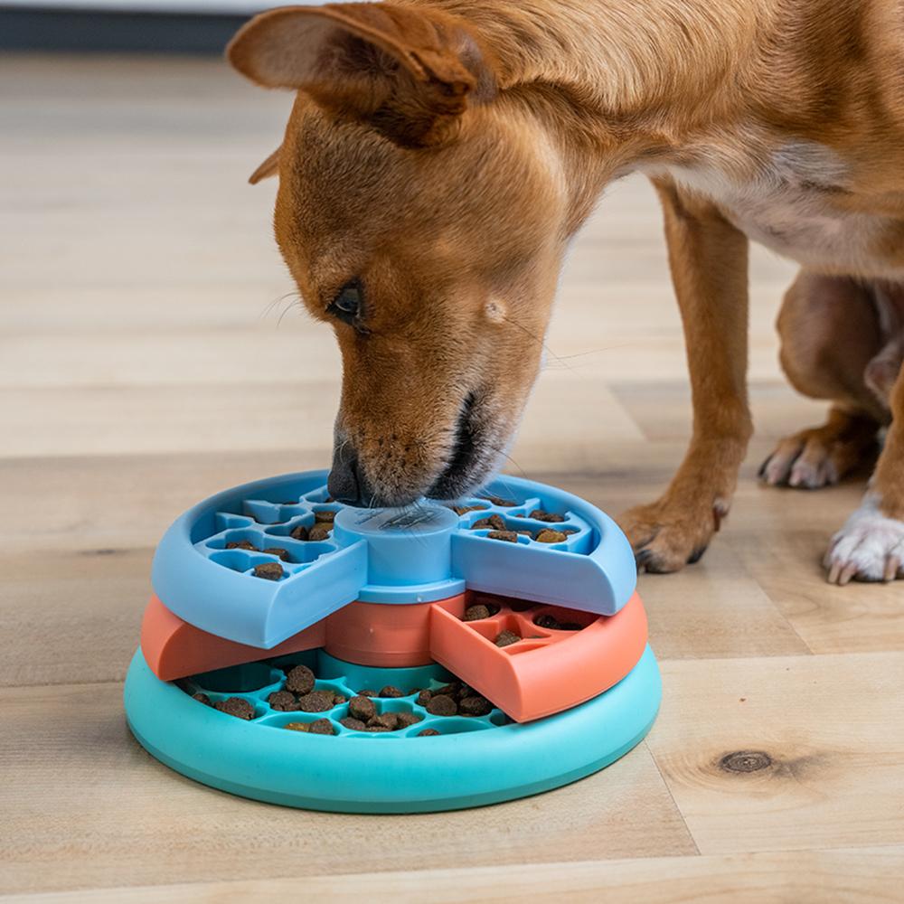 29 Dog Enrichment Activities For A Happier Dog