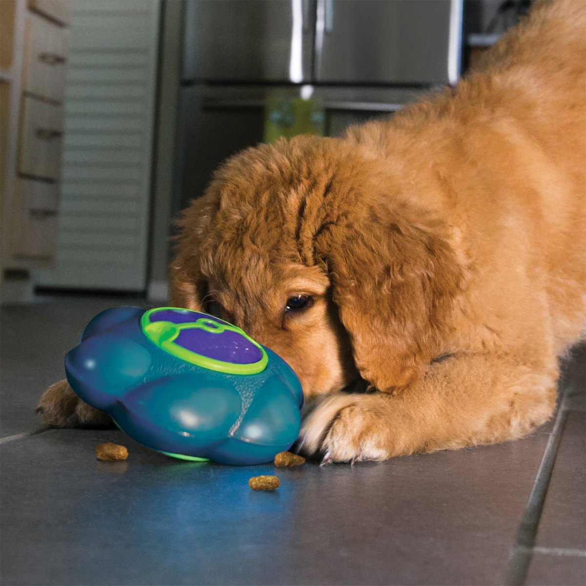 Puppy playing with treat dispenser