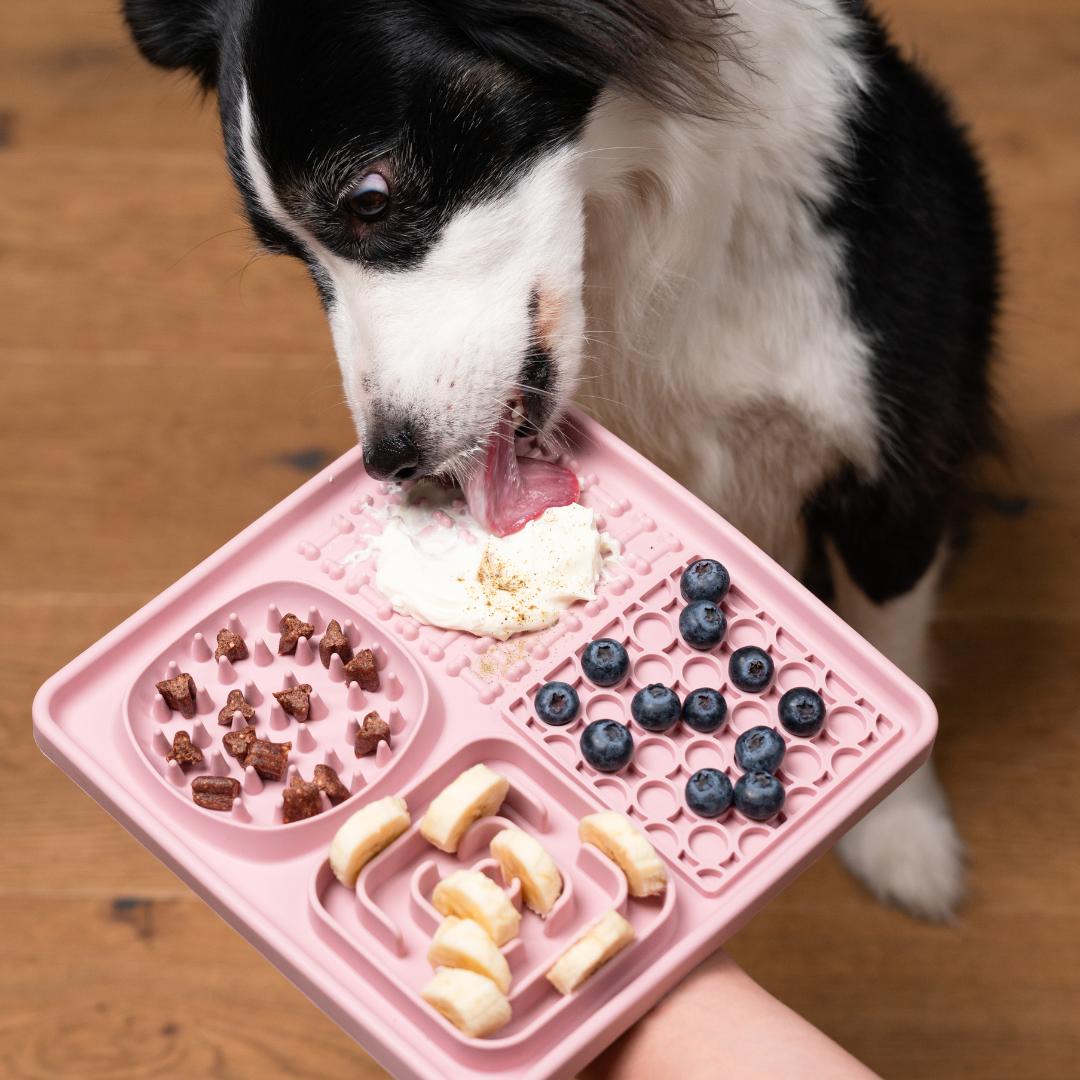 Dog using treat filled lick mat