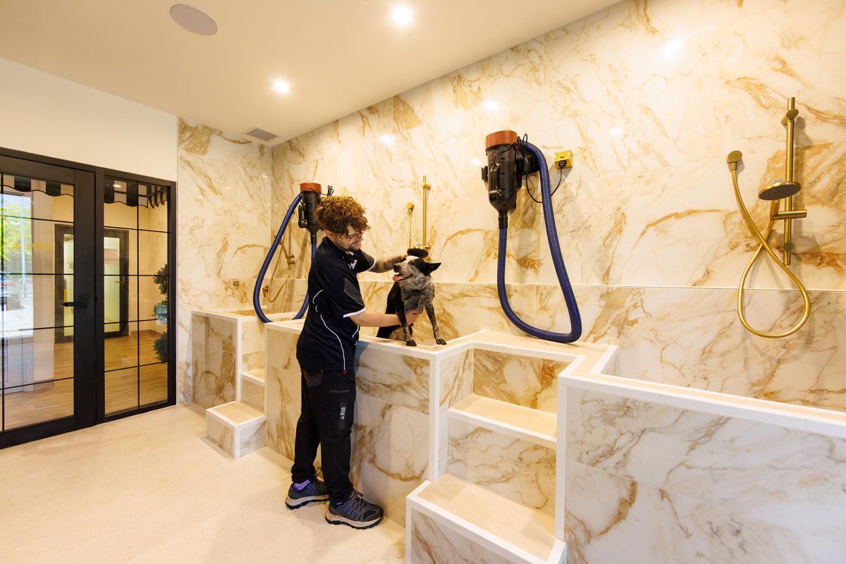 Luxury dog spa wash station