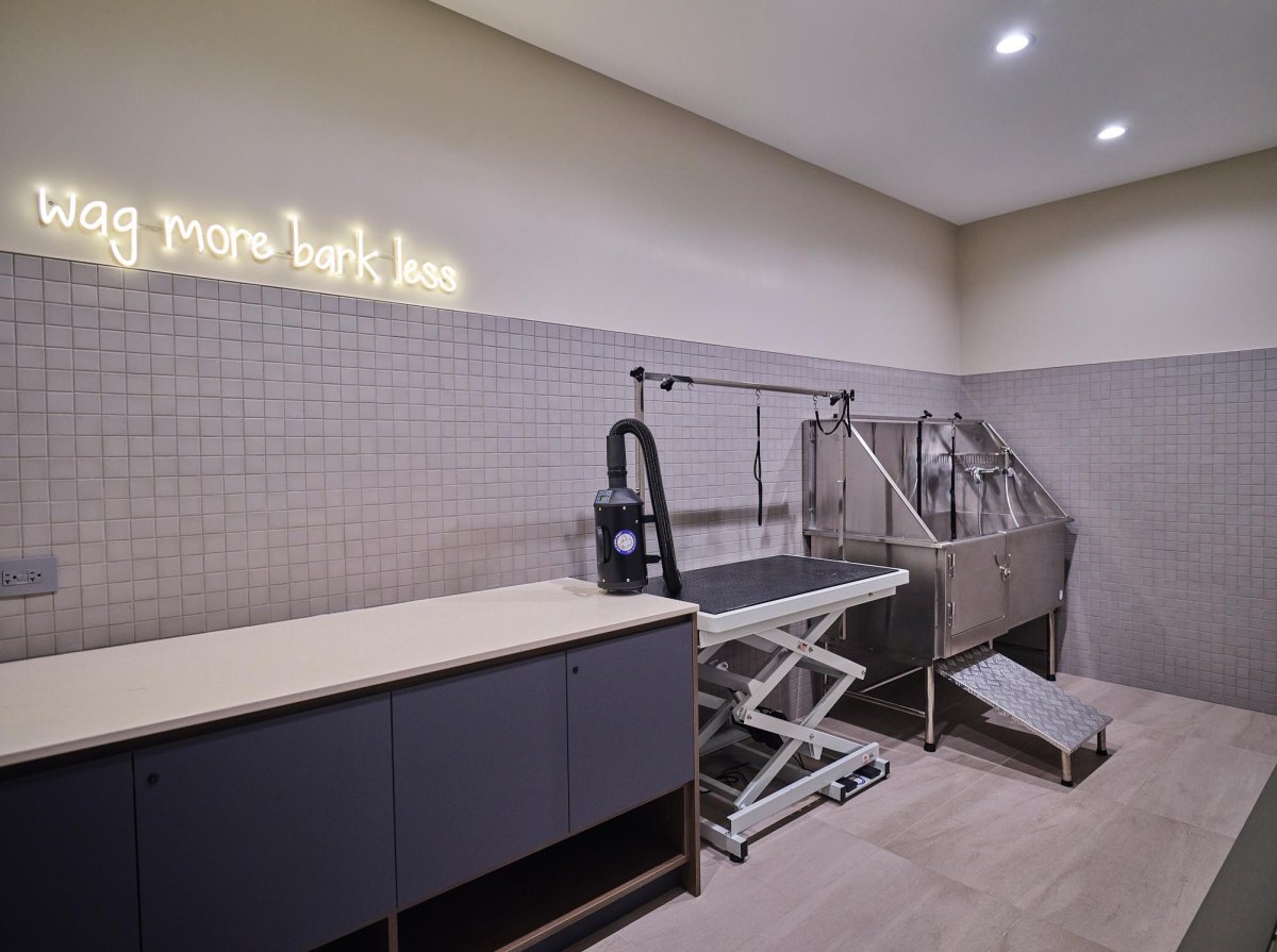 Luxury garage dog spa interior