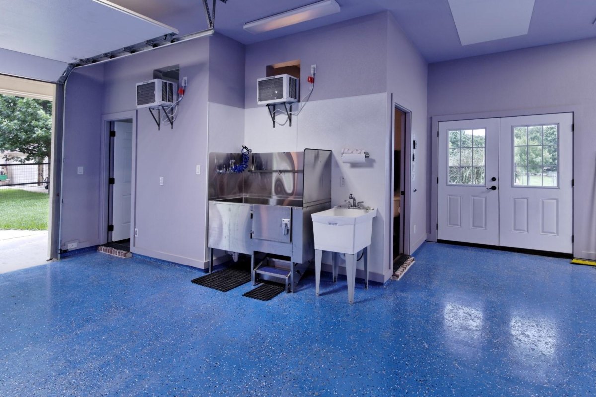 Modern garage dog wash station design
