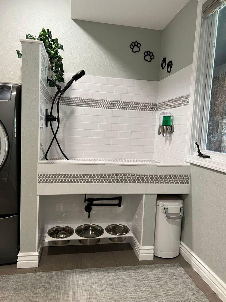 Modern dog wash feeding station design