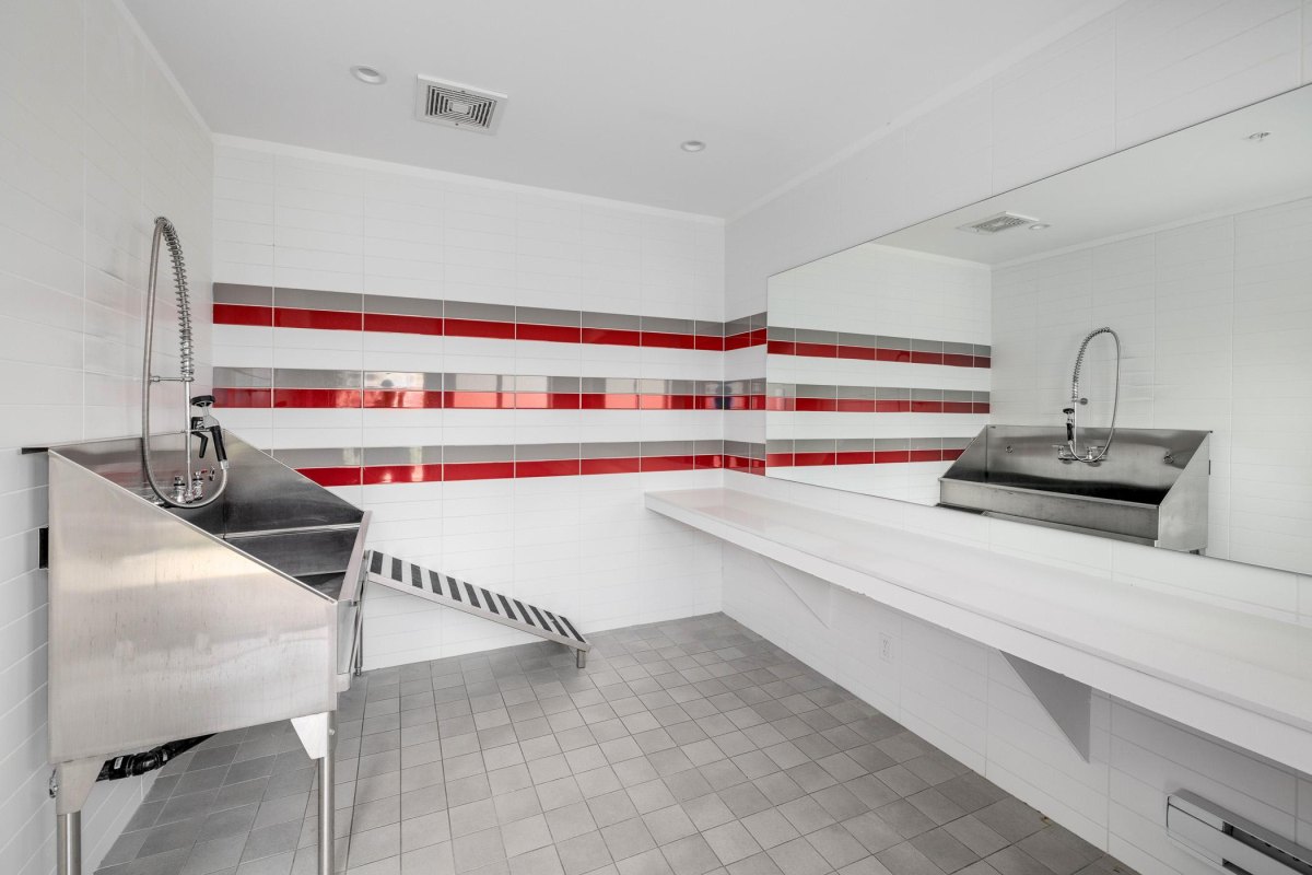 Dog Bath Station Ideas for a Cleaner Home