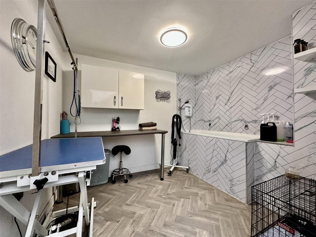 Modern small dog grooming room design