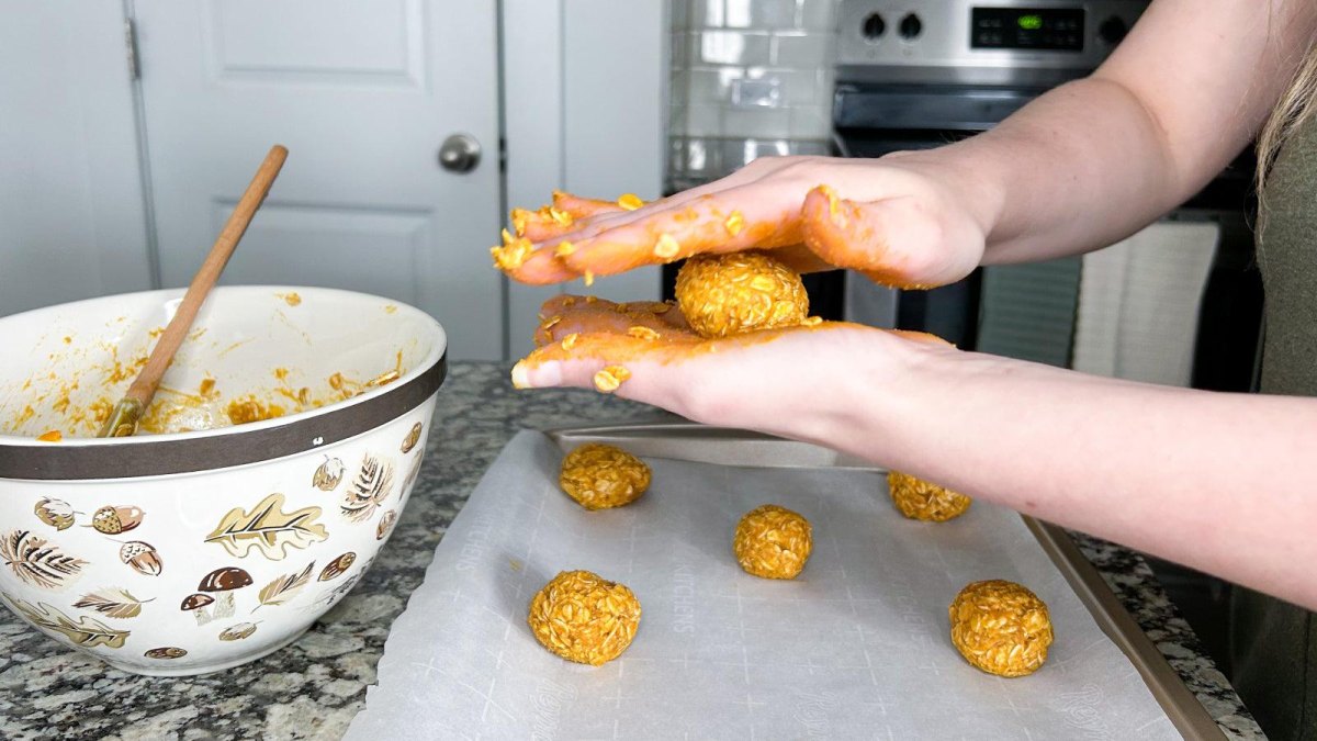 No bake pumpkin dog treats