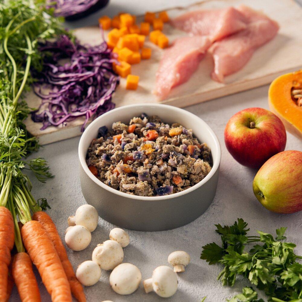 Senior dog nutrition ingredients