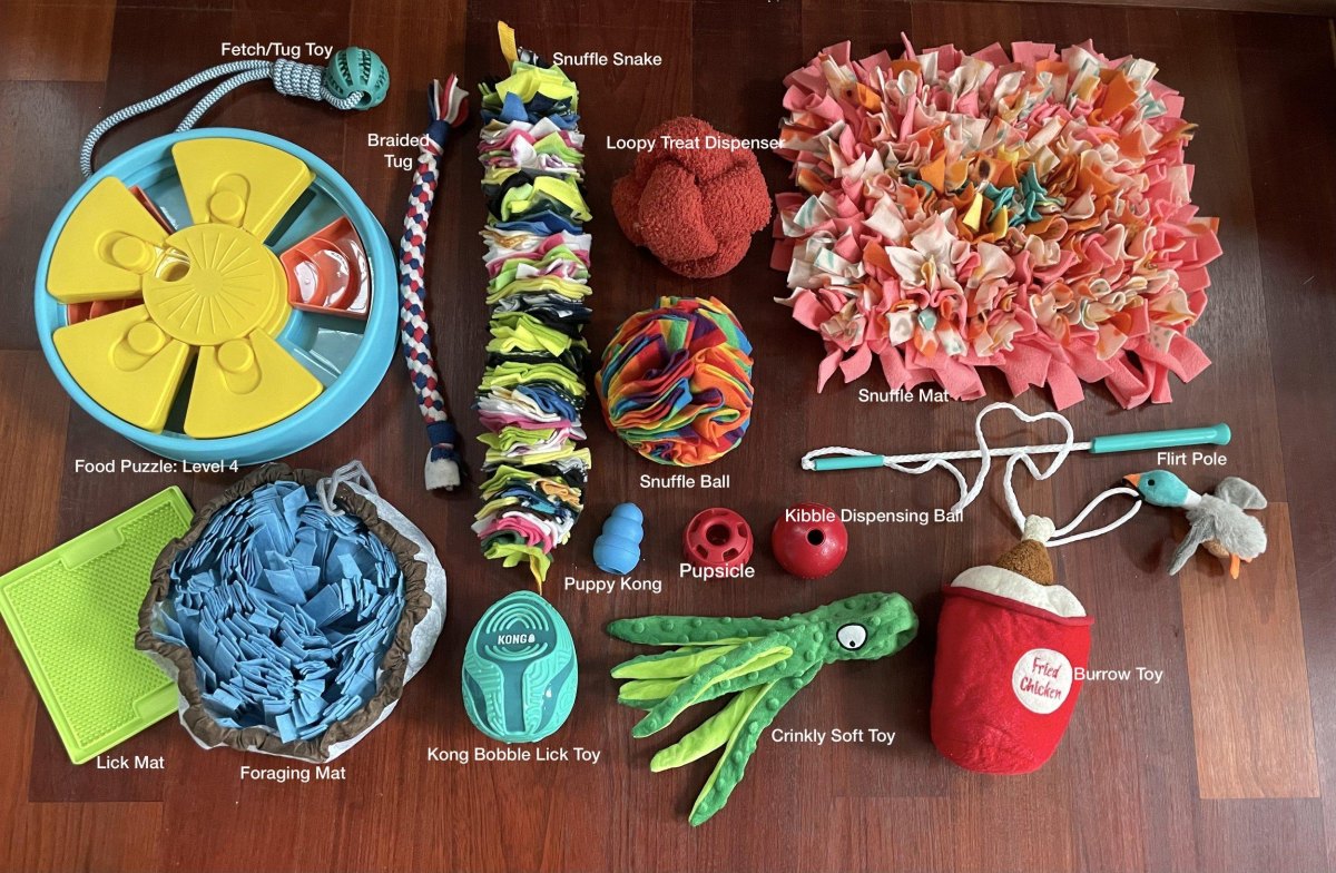 Dog toys sorted by play category