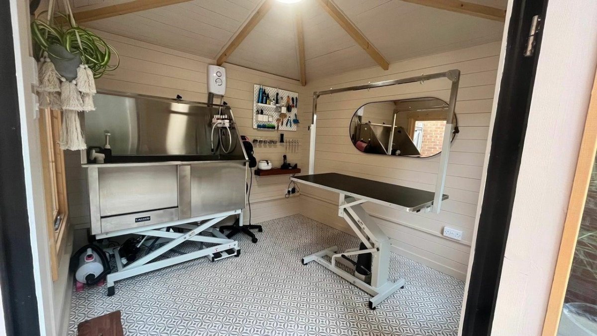 Professional small dog grooming room