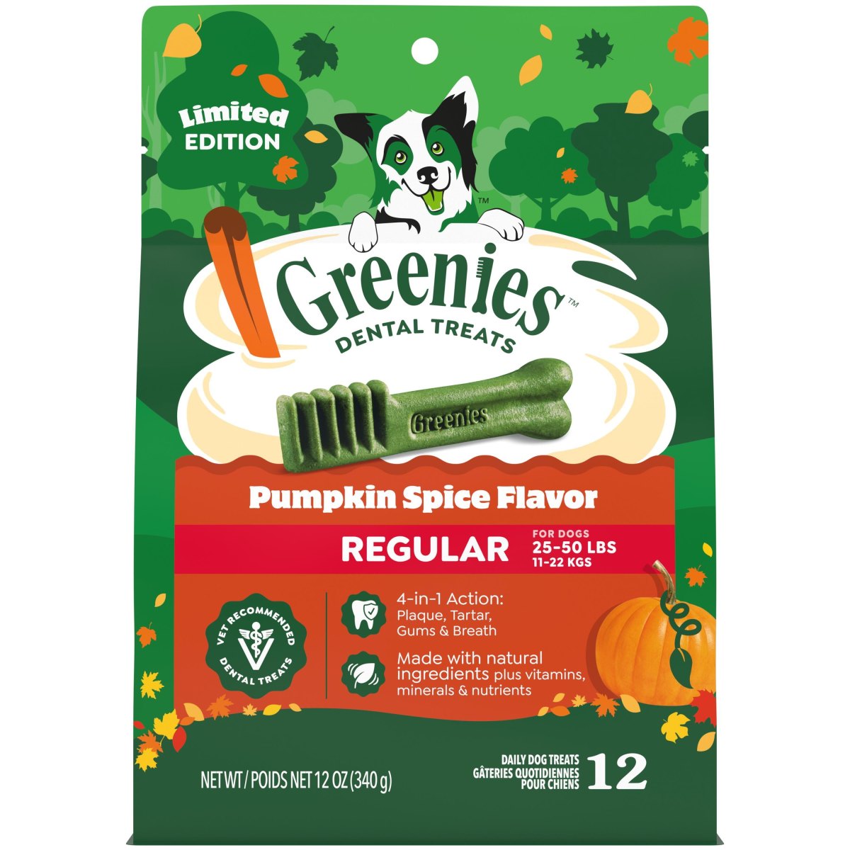Pumpkin dental dog treats