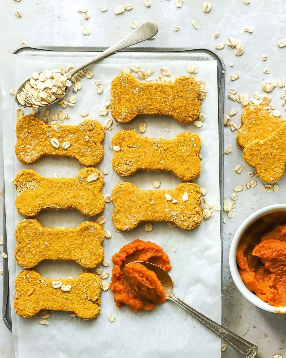 Pumpkin oat dog cookies