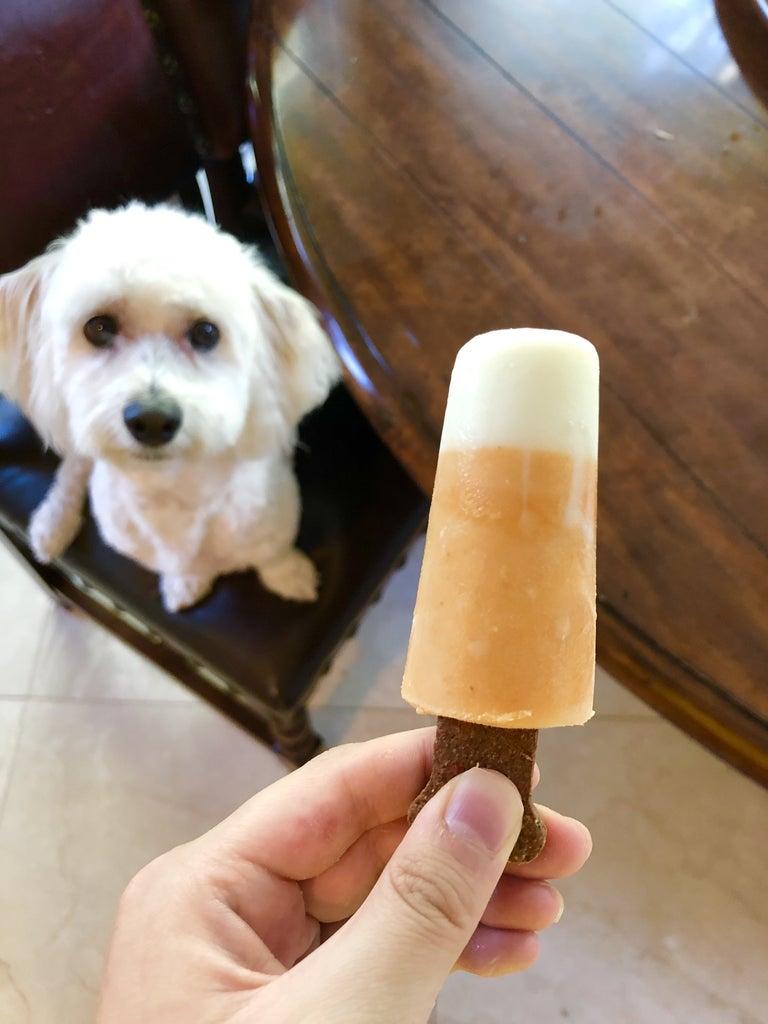Pumpkin puppy popsicles treat