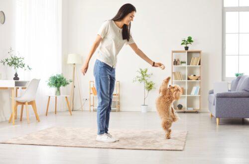 Puppy moving with owner